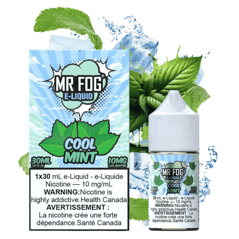 mr fog salt cool mint 30ml 30ml 20mg vapexcape vape and bong shop regina saskatchewan 31256867209279